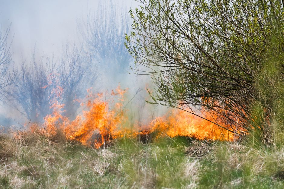 July 27, 2026 — Wildfire Closes In on Bordeaux as French Mayor Issues Urgent Warning